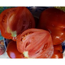 Редкие сорта томатов Бычье сердце гигант